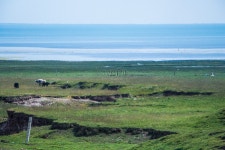 청해호 사진 무료 다운로드 - Lovepik 청해호