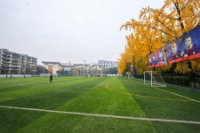 4400+ 운동장 축구장 사진, 무료 HD 운동장 축구장 이미지 사진 다운로드 - Lovepik
