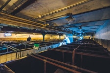 청도 양조장 사진 무료 다운로드 - Lovepik 청도 양조장