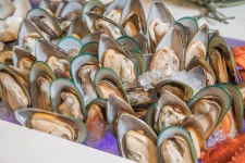 대합 사진 무료 다운로드 - Lovepik 대합