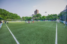 축구 코트 사진 무료 다운로드 - Lovepik 축구 코트