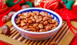 연미송자 사진 무료 다운로드 - Lovepik 연미송자