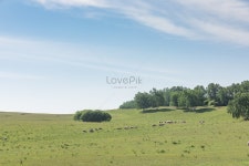 다 초원 사진 무료 다운로드 - Lovepik 다 초원