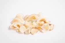 해저 야자 사진 무료 다운로드 - Lovepik 해저 야자