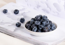 블루 베리 사진 무료 다운로드 - Lovepik 블루 베리