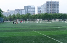  축구장
