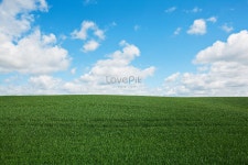 그린 필드 사진 무료 다운로드 - Lovepik 그린 필드