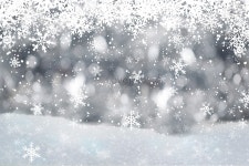  겨울 눈꽃 배경