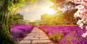 10+ 투인 배경 일러스트 및 사진 무료 다운로드 - Lovepik