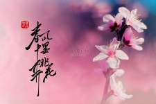 봄 산들 바람 복숭아 꽃 배경 사진 및 창의적인 일러스트 무료 다운로드 - Lovepik 봄 산들 바람 복숭아 꽃