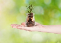 10+ 모레 배경 일러스트 및 사진 무료 다운로드 - Lovepik