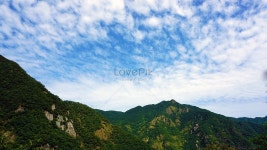  울창한 산