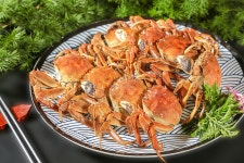 강 게찜 이미지, 사진 및 PNG 일러스트 무료 다운로드 - Lovepik 강 게찜 이미지, 사진 및 PNG 일러스트 무료 다운로드 - Lovepik 