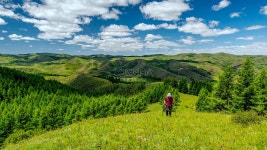 고산 목장 이미지, 사진 및 PNG 일러스트 무료 다운로드 - Lovepik 고산 목장 이미지, 사진 및 PNG 일러스트 무료 다운로드 - Lovepik 