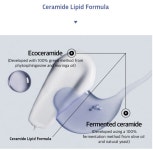 SB LAB Intense Rescue Cera Barrier Ample Serum,50ml , Moisturizing Hydrating Facial Essence | tradekorea SB LAB Intense Rescue...