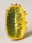 「kiwano」の意味や使い方 わかりやすく解説 Weblio辞書