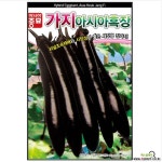 가지씨앗종자) 아시아 흑장가지(200립) : 채소/곡물 씨앗 - 엑스플랜트