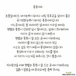홍콩야자 대품 [하늘꽃농원] : 공기정화식물 - 엑스플랜트
