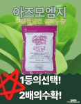 미생물발효유황 80프로 아즈모엠지500g : 비료/영양제/활력제 - 엑스플랜트