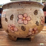 예뜰수제분2 : 다육화분 - 엑스플랜트