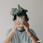 오르비폴리아 초록교수님 안경화분받침세트 : 공기정화식물 - 엑스플랜트