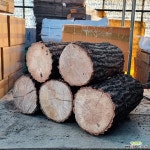 참나무 통나무장작 약20kg 화목난로용 인테리어 감성 소품 : 인테리어소품 - 엑스플랜트