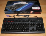 Cherry G80-3494 with Sixtys vintage doubleshots - deskthority