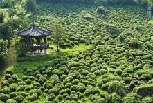 전통공연예술진흥재단 [월간 공진단] vol.71 |토리가요| 따뜻한 남해로 떠나는 여행 육지와 섬을 잇는 소리 - 월간 공진단... 