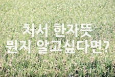 처서 한자뜻 뭔지 알고싶다면? - 위즐