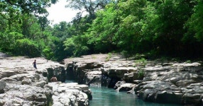 Rapid Response Facility contributes to project near La Amistad Biosphere Reserve (Panama) - UNESCO Centre du patrimoine mondial... 