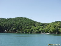 풀베개 : 인터넷식물도감 - 한산도 제승당