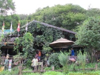 풀베개 : 인터넷식물도감 - 8월 15일 광릉수목원&하이디하우스