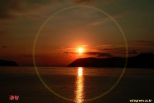 내일은 내일의 해가 뜬다. - 꽃을  좋아하는  淸谷 - 풀베개 내일은 내일의 해가 뜬다. - 꽃을 좋아하는 淸谷 - 풀베개