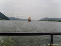 풀베개 : 인터넷식물도감 - 백마강의 황포돗대?