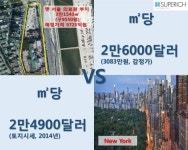 [슈퍼리치] ‘뉴욕ㆍ모나코 비켜!’나무도 12억하는 삼성동 3대 땅값, 세계 최고수준 - 헤럴드경제 [슈퍼리치] ‘뉴욕ㆍ모나코 비켜!’나무도... 