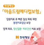 현대해상, 마음드림메디컬보험 출시…생활질병 집중 보장 - 헤럴드경제 현대해상, 마음드림메디컬보험 출시…생활질병 집중 보장