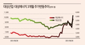 정치테마·에너지테마…같은 듯 다른 대성산업·대성에너지 형제 - 헤럴드경제 정치테마·에너지테마…같은 듯 다른 대성산업·대성에너지 형제