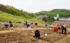 중랑구, 중랑행복농장 분양…참여 주민 모집 - 헤럴드경제 중랑구, 중랑행복농장 분양…참여 주민 모집