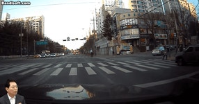 “자기가 사람인 줄”…보행자와 횡단보도 함께 건너는 ‘이것’ [여車저車] - 헤럴드경제 “자기가 사람인 줄”…보행자와 횡단보도 함께... 