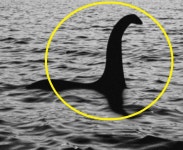 괴물 네시 정체 밝혀지나…네스호, 폭염으로 강 밑바닥 보여 - 헤럴드경제 괴물 네시 정체 밝혀지나…네스호, 폭염으로 강 밑바닥 보여