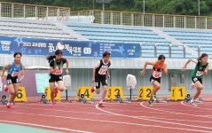 “미래 올림픽 주인공은 나” 교보생명컵 꿈나무체육대회 개막 - 헤럴드경제 “미래 올림픽 주인공은 나” 교보생명컵 꿈나무체육대회 개막