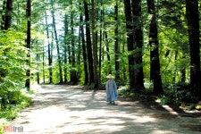 달빛아래 세운 바른마음 “오대산 월정사” - 헤럴드경제 달빛아래 세운 바른마음  “오대산 월정사”