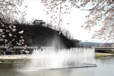 의성 남대천 고향의 강 사업으로 만든 음악 분수..관광명소로 우뚝 - 헤럴드경제 의성 남대천 고향의 강 사업으로 만든 음악 분수..관광명소로 우뚝