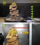 ‘생생정보’ 산더미감자탕 맛집, 위치는?…일산 ‘이수정원조뼈다귀’ | 서울경제 ‘생생정보’ 산더미감자탕 맛집, 위치는?…일산... 