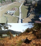 ‘한국기행’ 여수 금오도 두포마을 방풍나물 캐는 할아버지의 하루 | 서울경제 ‘한국기행’ 여수 금오도 두포마을 방풍나물 캐는 할아버지의 하루