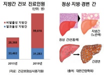 비만도 아니고 술도 안 마시는데…지방간이라고? | 서울경제