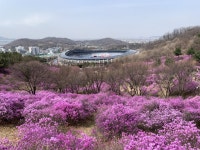 “봄꽃 만개한 경기둘레길 걸어요”…경기도, 봄꽃명소 2개 코스 소개 | 서울경제 “봄꽃 만개한 경기둘레길 걸어요”…경기도, 봄꽃명소 2개... 