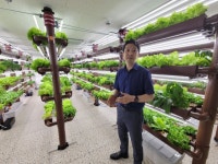 베란다에 만든 텃밭이 스마트팜 샐러드카페 올되다농장으로 | 서울경제 베란다에 만든 텃밭이 스마트팜 샐러드카페 올되다농장으로