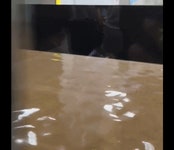 [영상] 흙탕물 잠긴 이수역…무정차 통과, 천장 일부 붕괴도[영상] | 서울경제 흙탕물 잠긴 이수역…무정차 통과, 천장 일부 붕괴도