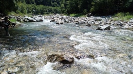 윈도우 포럼 - 자유 게시판 - 김삿갓 계곡 자유 게시판 - 김삿갓 계곡